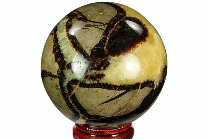 Polished Septarian Sphere - Madagascar #110660